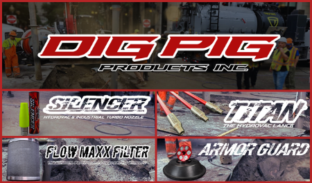 dig pig image